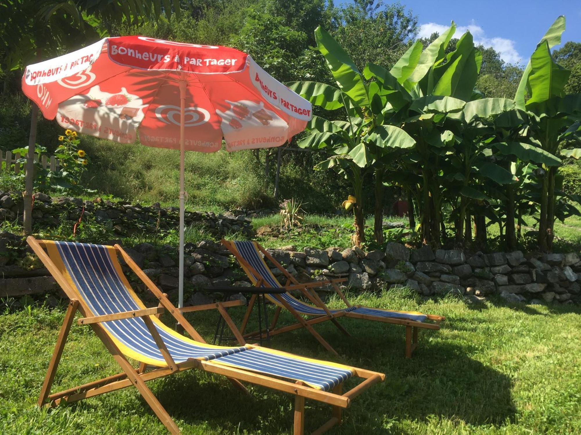 La Auarje: Appartement Avec Jardin & Terrasse Cierp Dış mekan fotoğraf