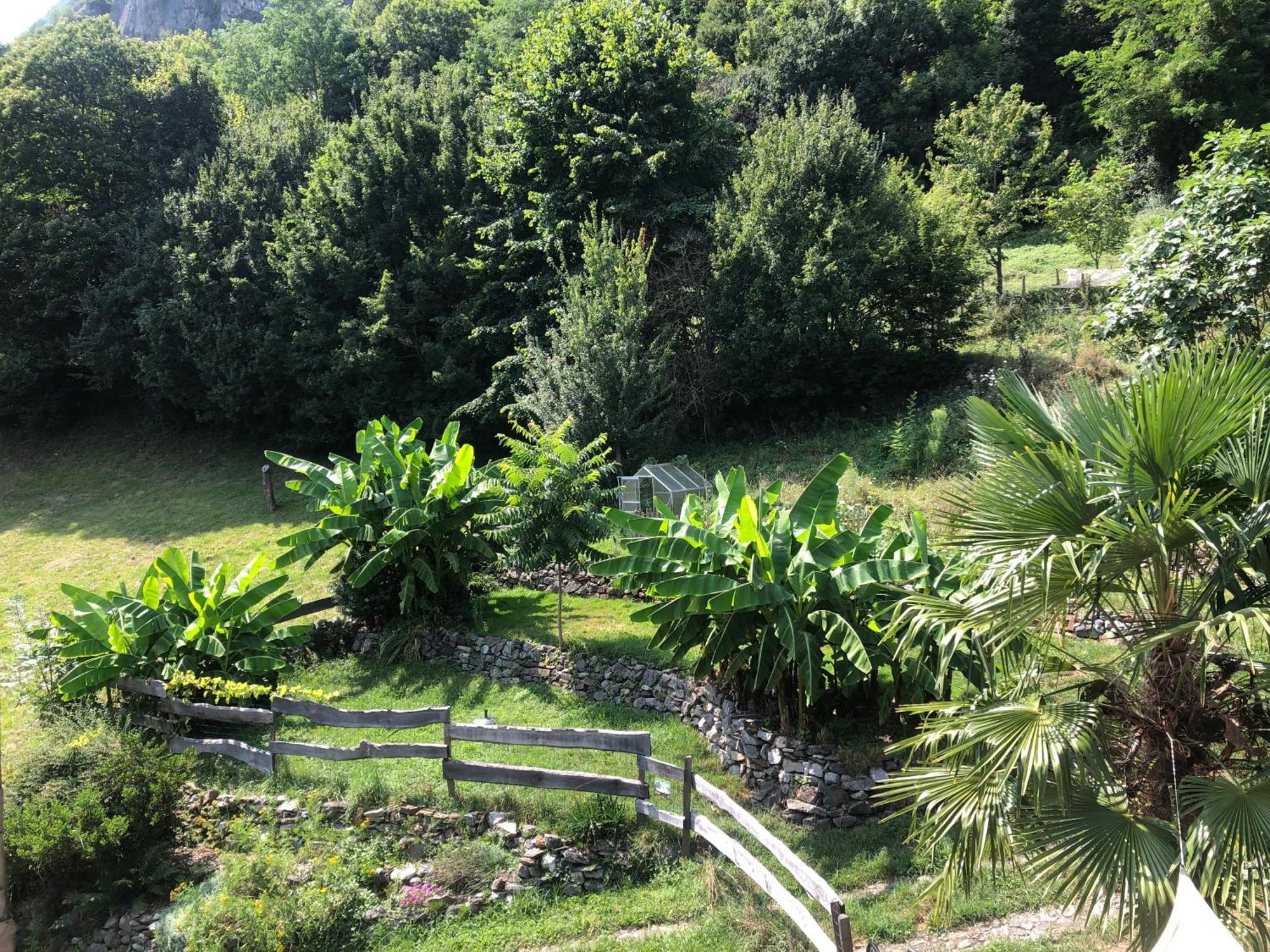 La Auarje: Appartement Avec Jardin & Terrasse Cierp Dış mekan fotoğraf